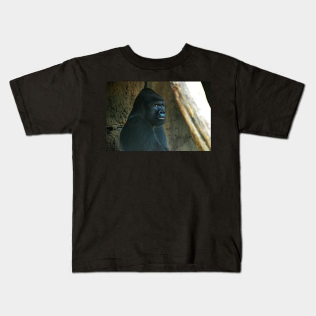 Frankfurt Gorilla 2 Kids T-Shirt by kchase